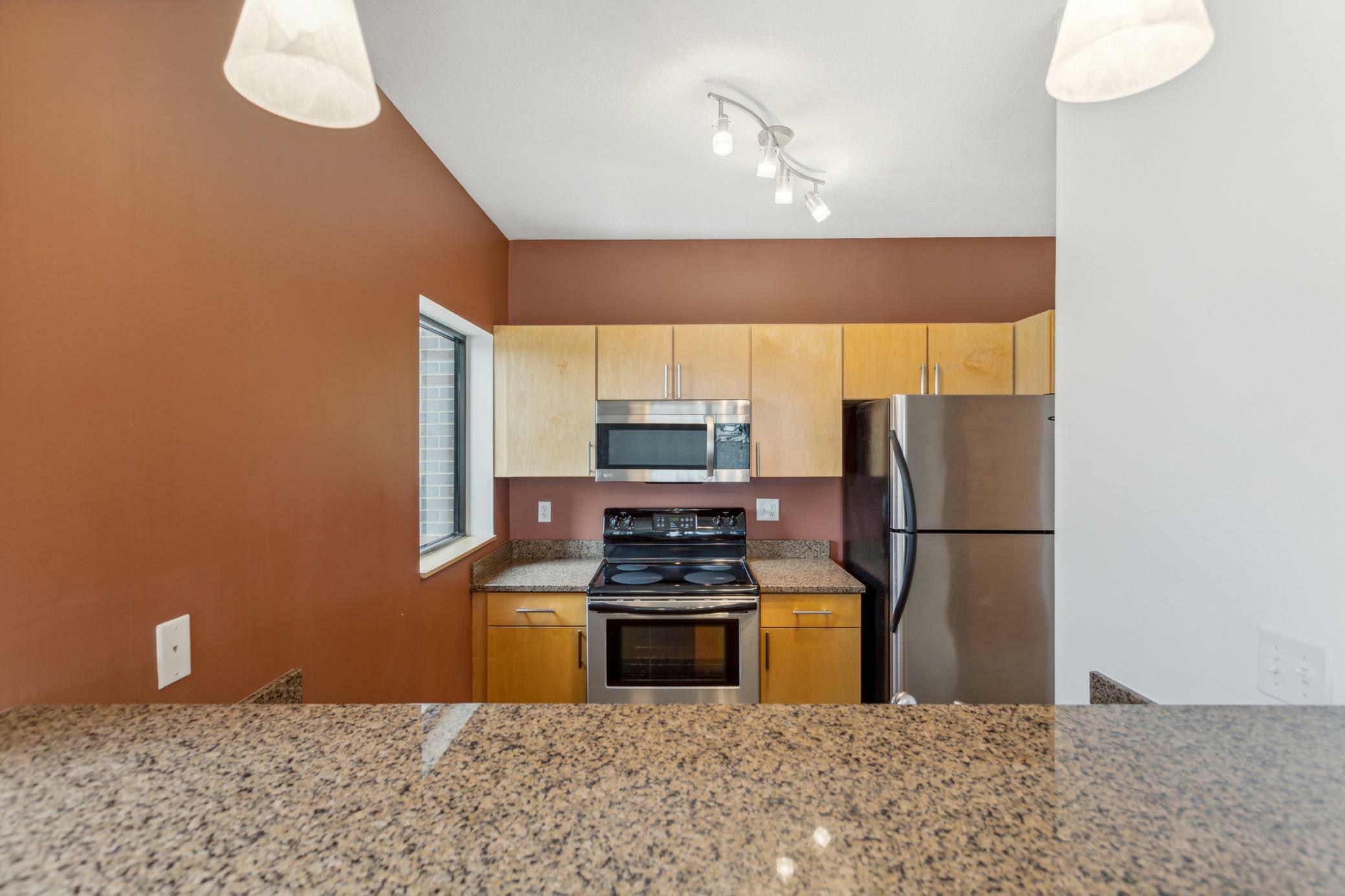 Property Photo:  7600 Lyndale Avenue S 210  MN 55423 