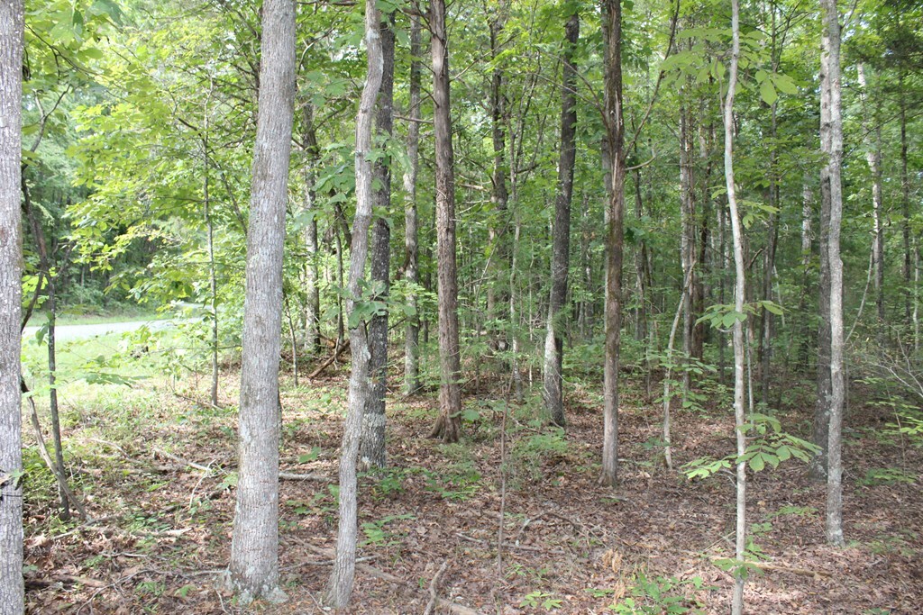 Property Photo:  Dryburg Road  VA 24589 