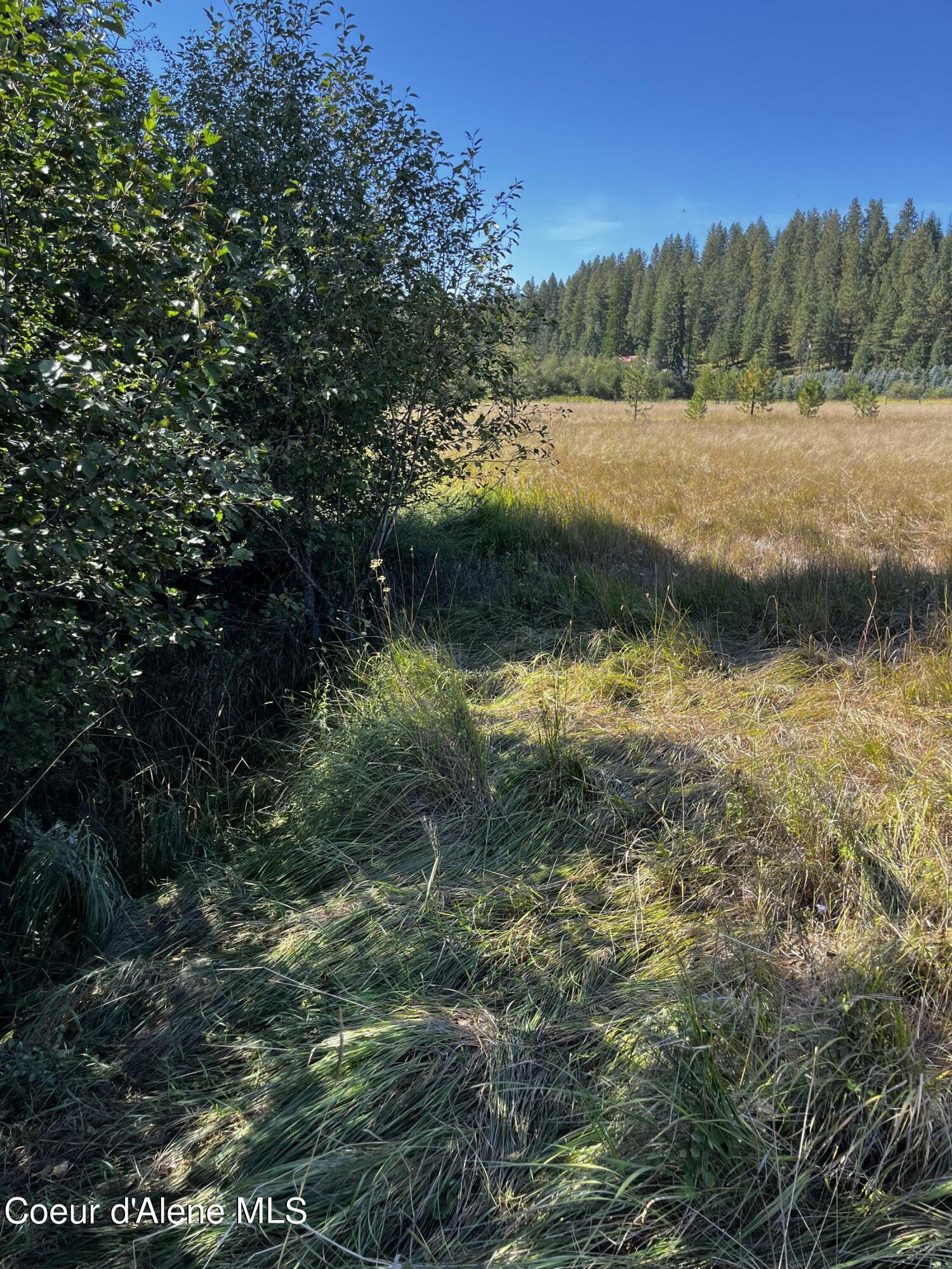 Property Photo:  7971 Windfall Pass Rd  ID 83861 