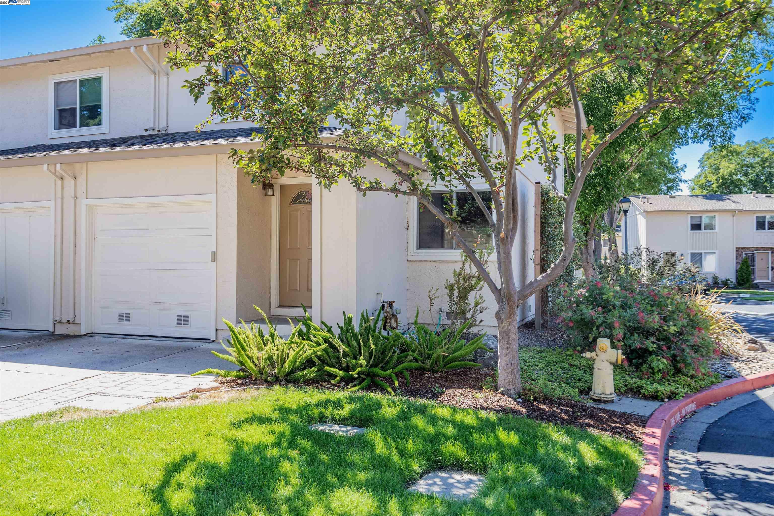 Property Photo:  3732 Thistle Way  CA 94588 