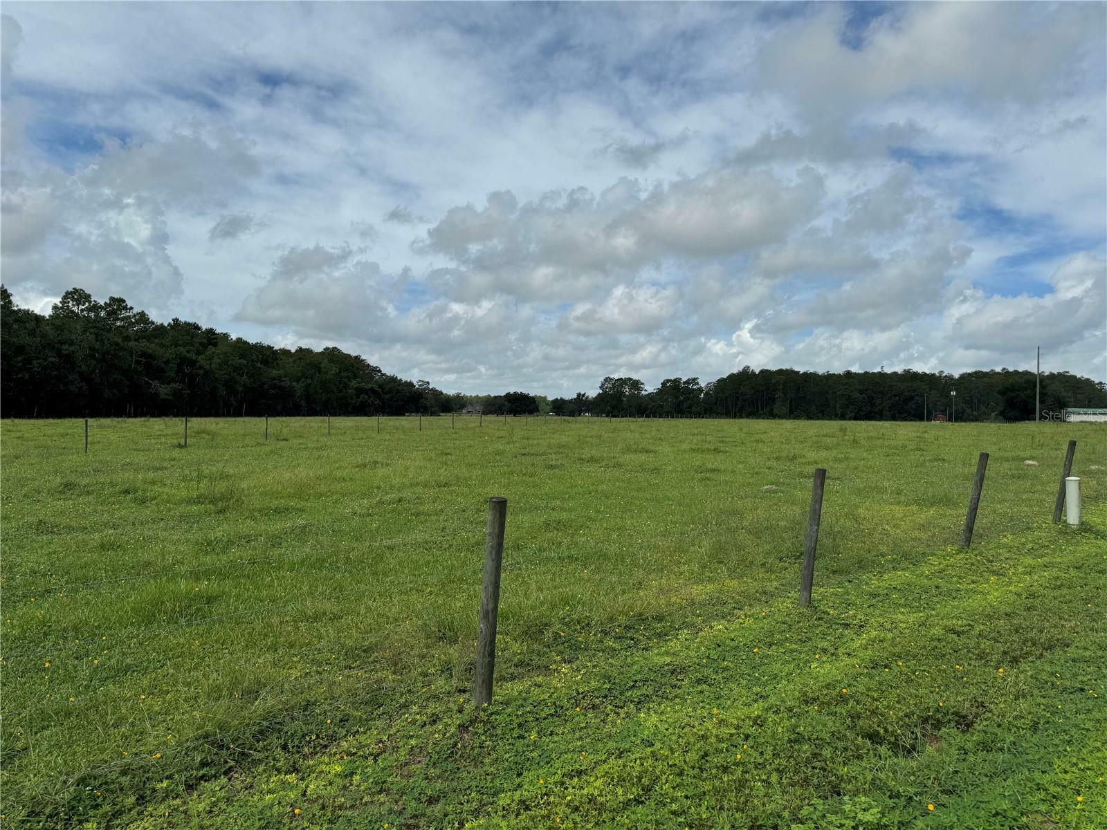 Property Photo:  Green Swamp Road  FL 34714 