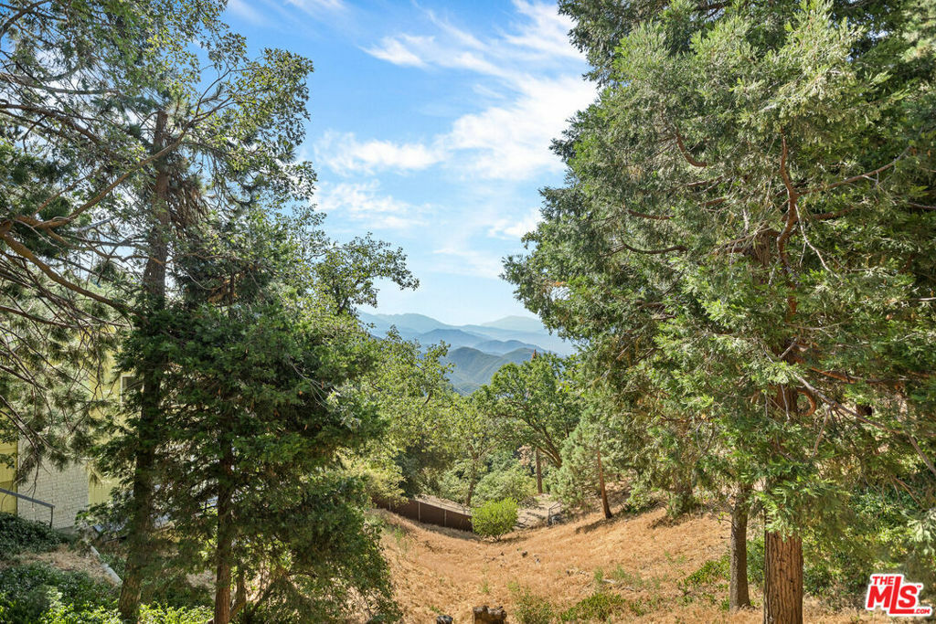 22771 Crest Forest Drive  Crestline CA 92325 photo