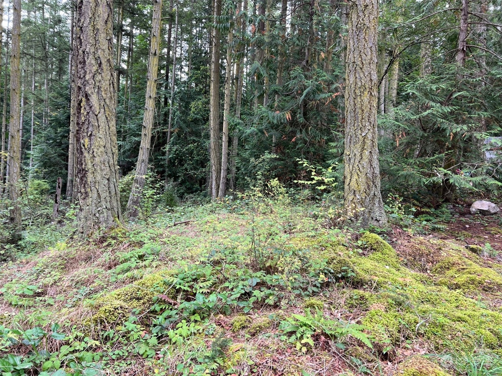 Property Photo:  149 Center Island  WA 98221 