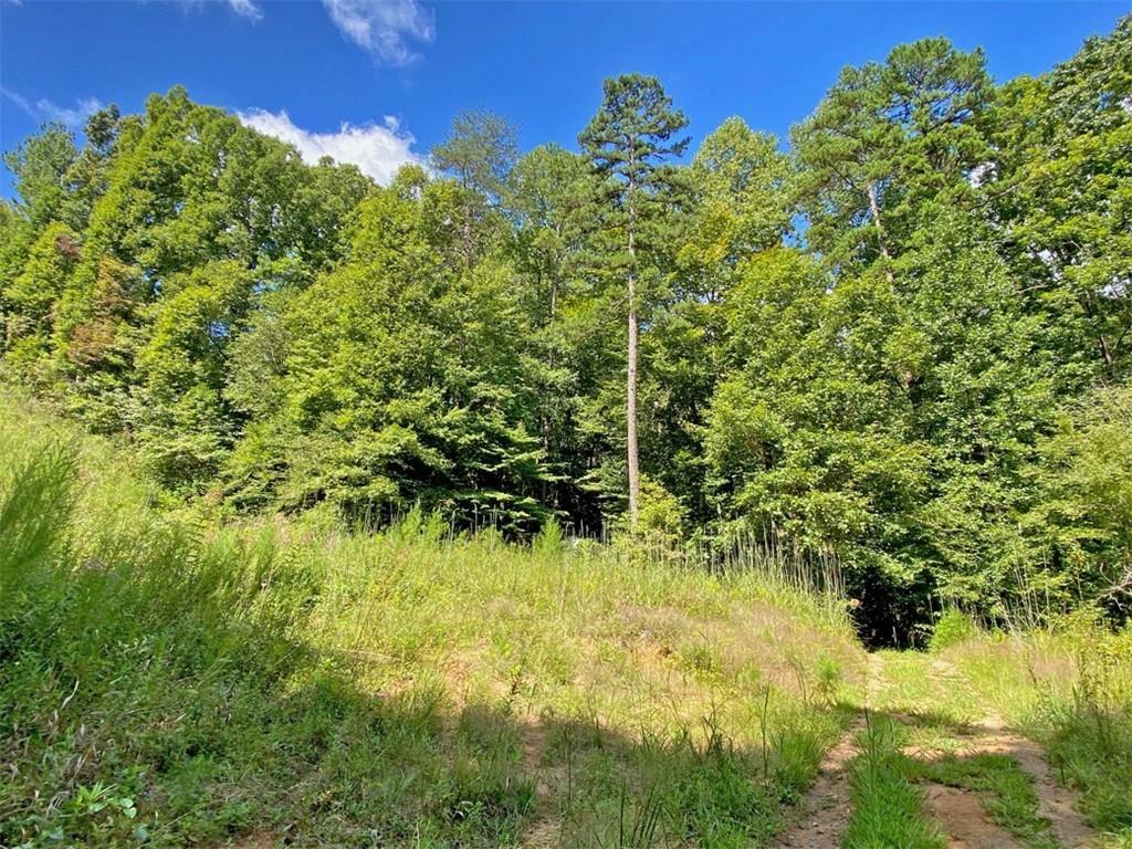 Property Photo:  0 Falling Pines Road  GA 30533 