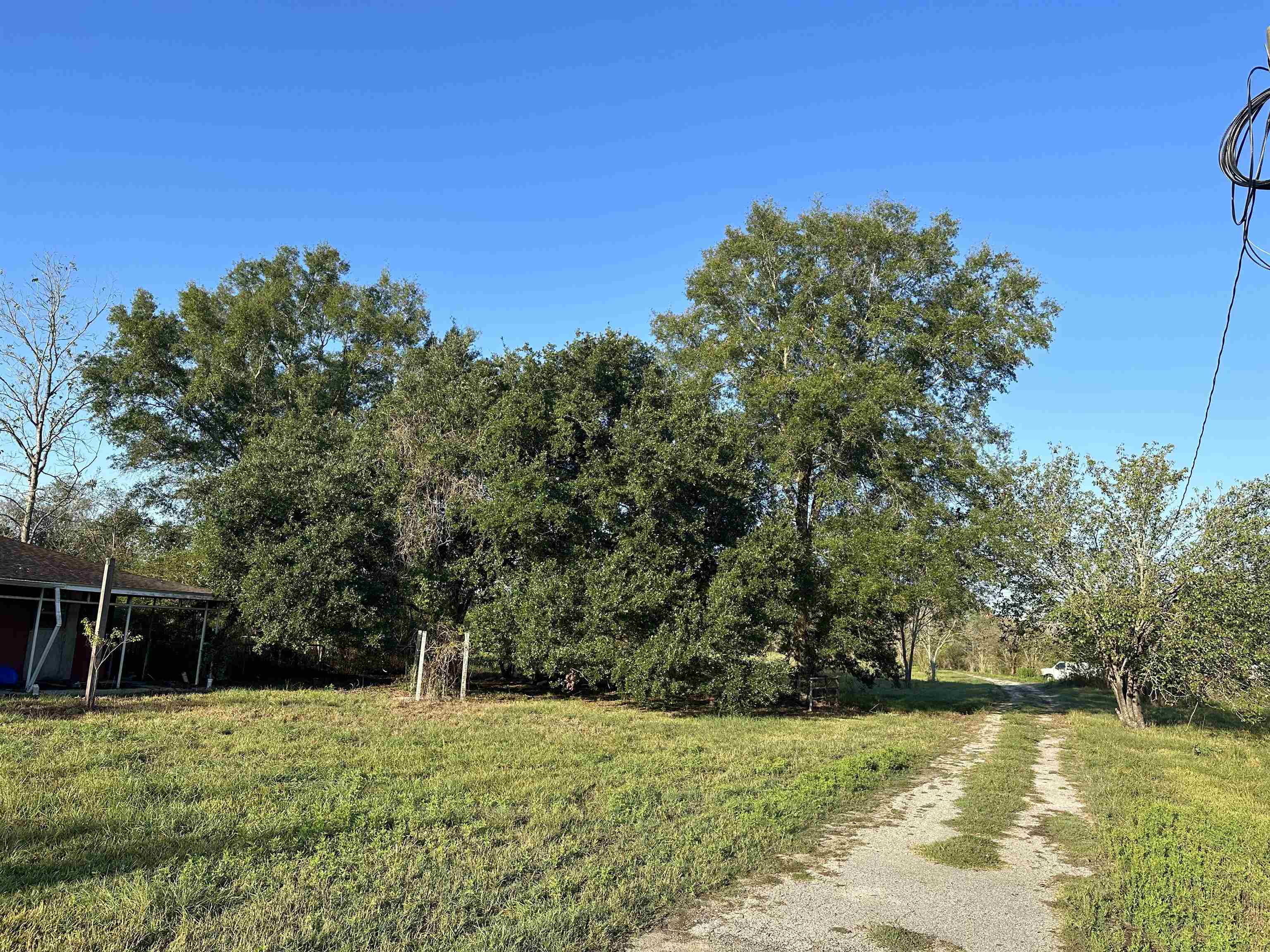 Property Photo:  1650 Connell Rd.  TX 77662 