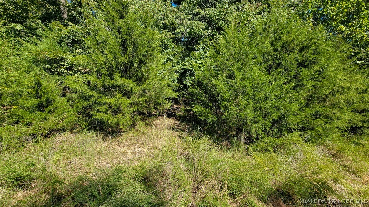 Property Photo:  Lot #1261 Spring Creek Drive  MO 65079 