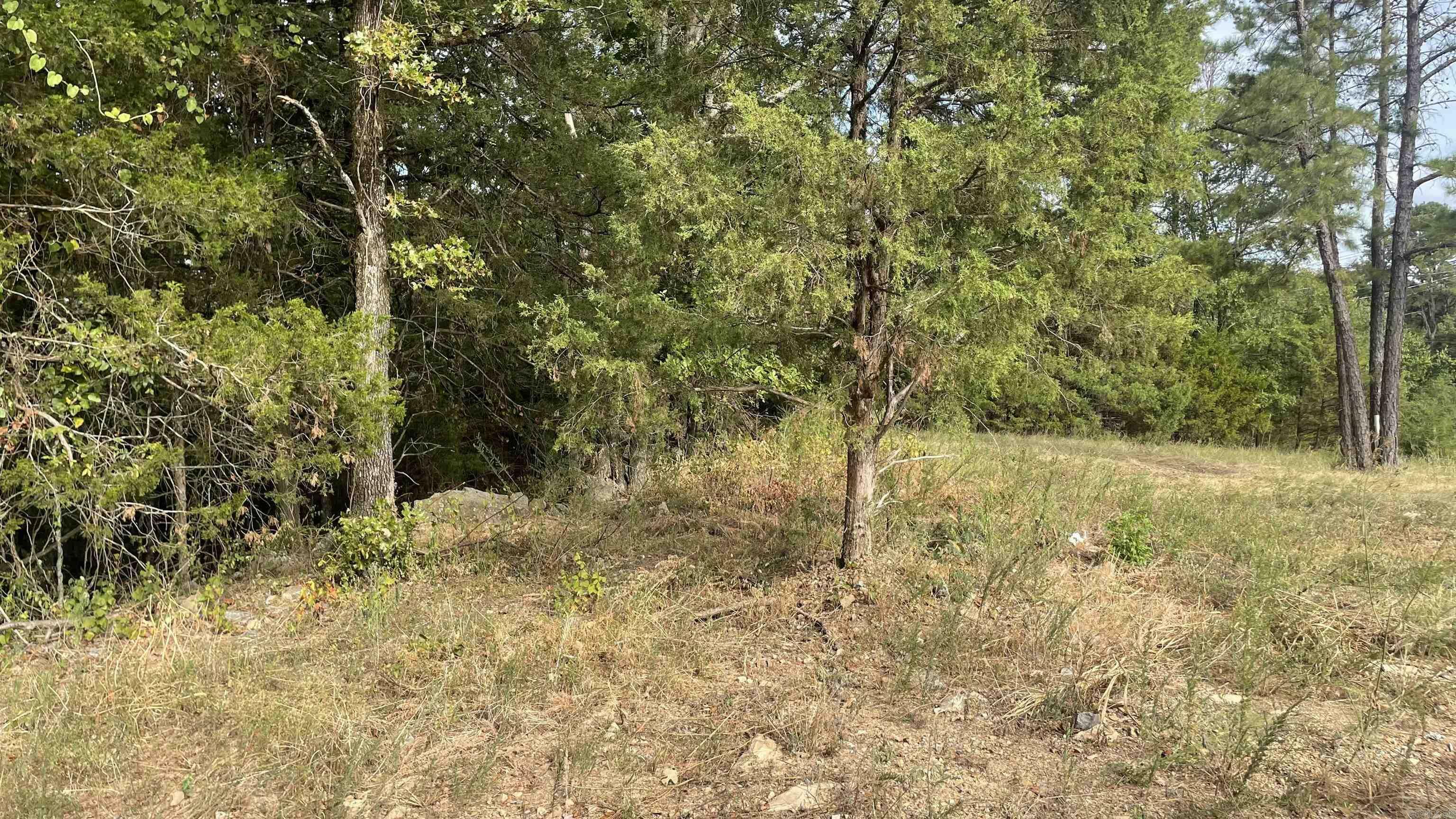 Property Photo:  2410 Pinnacle Ridge Road  AR 72034 