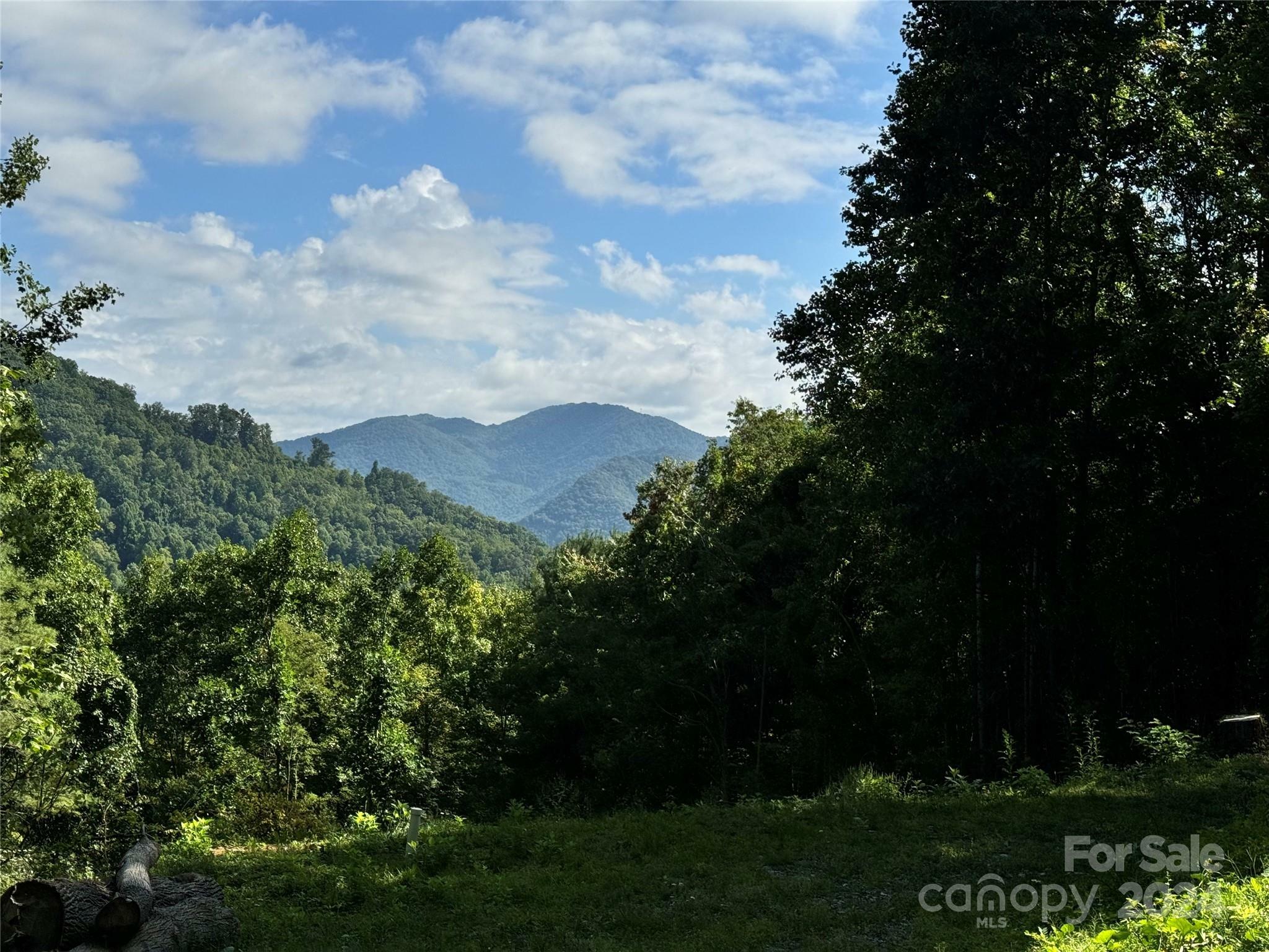 Property Photo: 0 Scotts Trail NC 28743