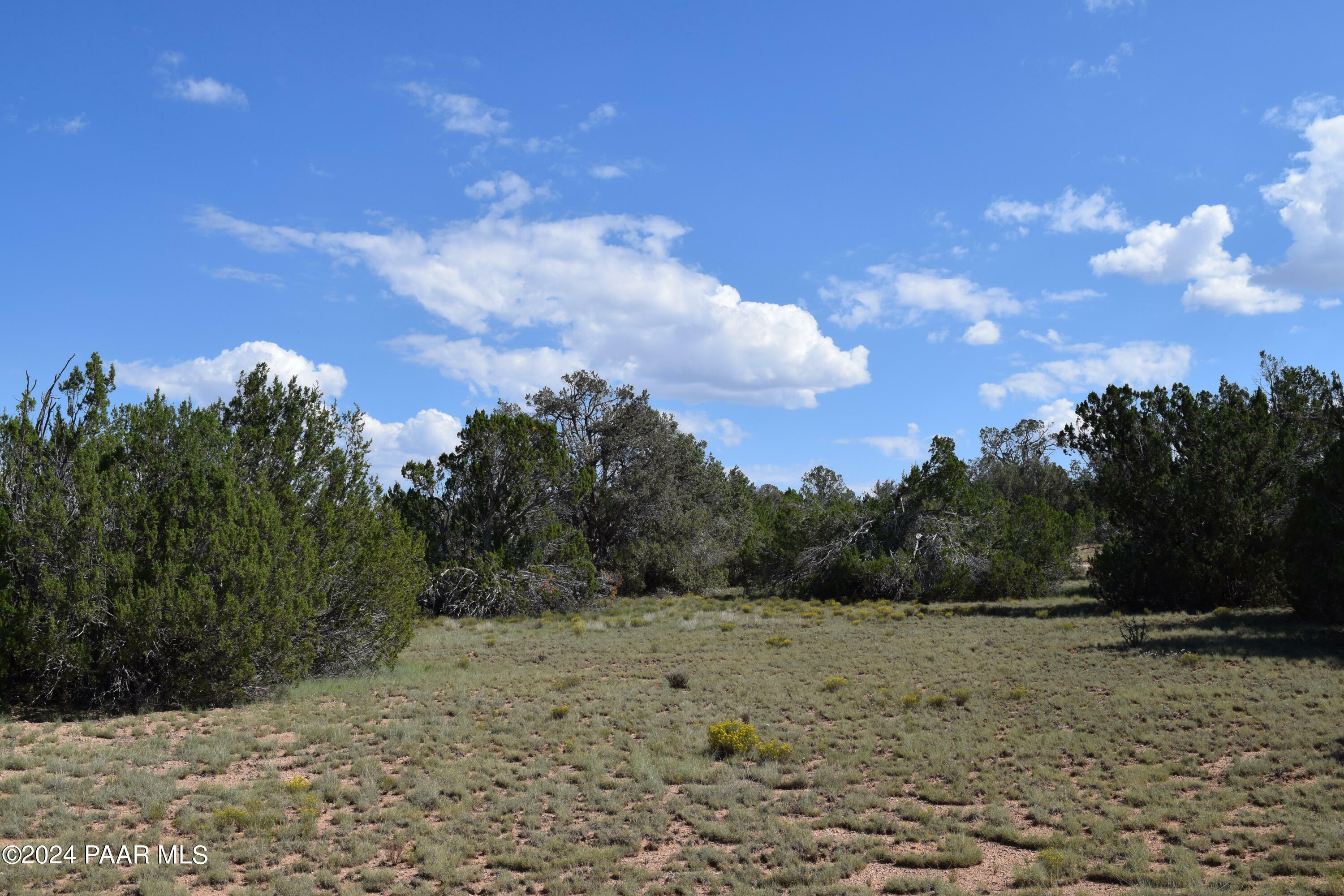 Property Photo:  53570 Via De Oro Parkway  AZ 86337 