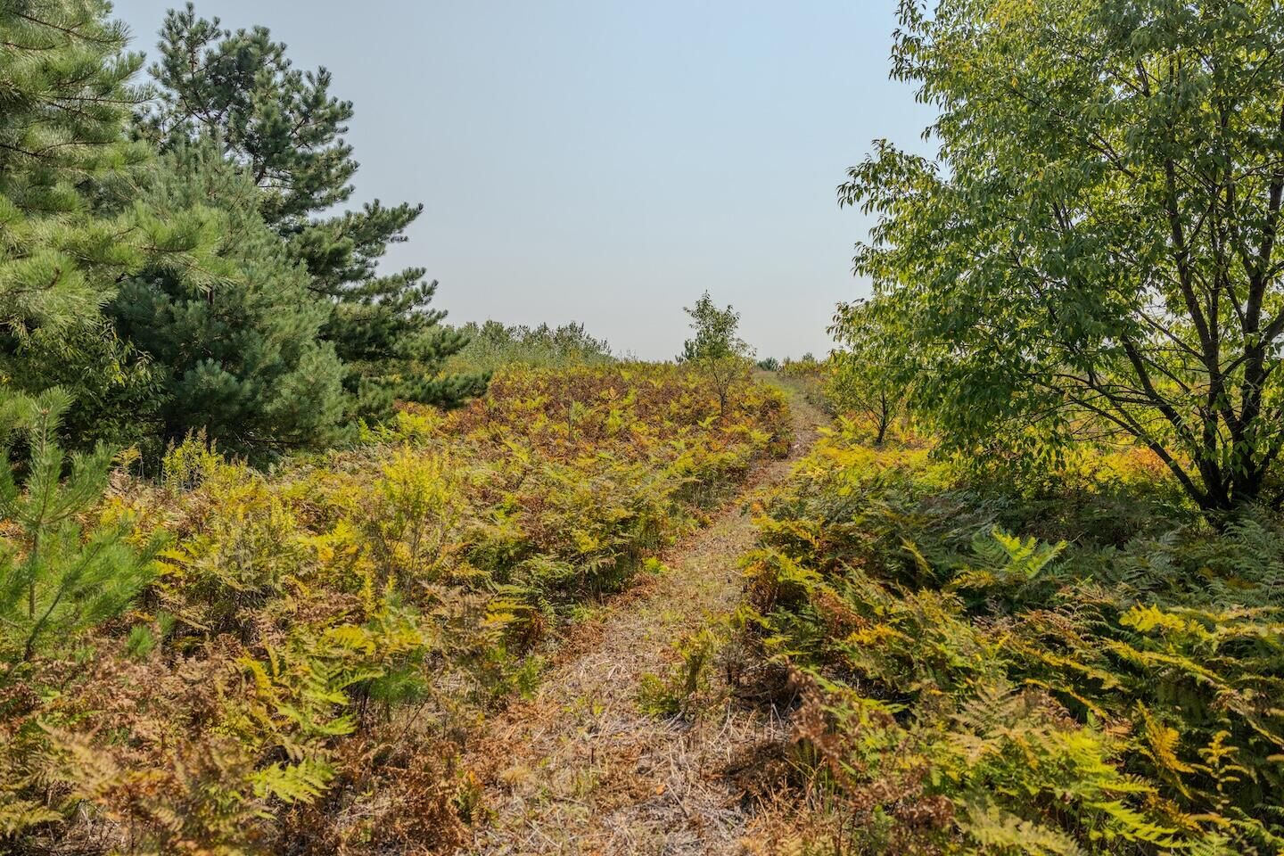 Property Photo: 00 V/L Niemi Rd. Parcel 2 MI 49614