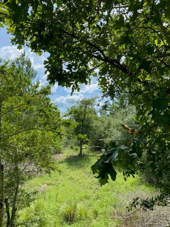 Property Photo:  425 Kelley Road  TX 78602 