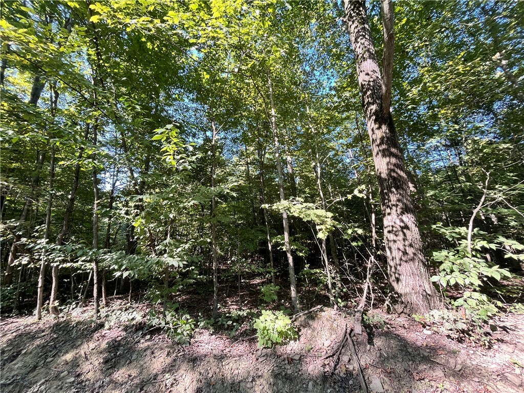 Property Photo:  Lot 2 Lockwood Run Road E  NY 14902 