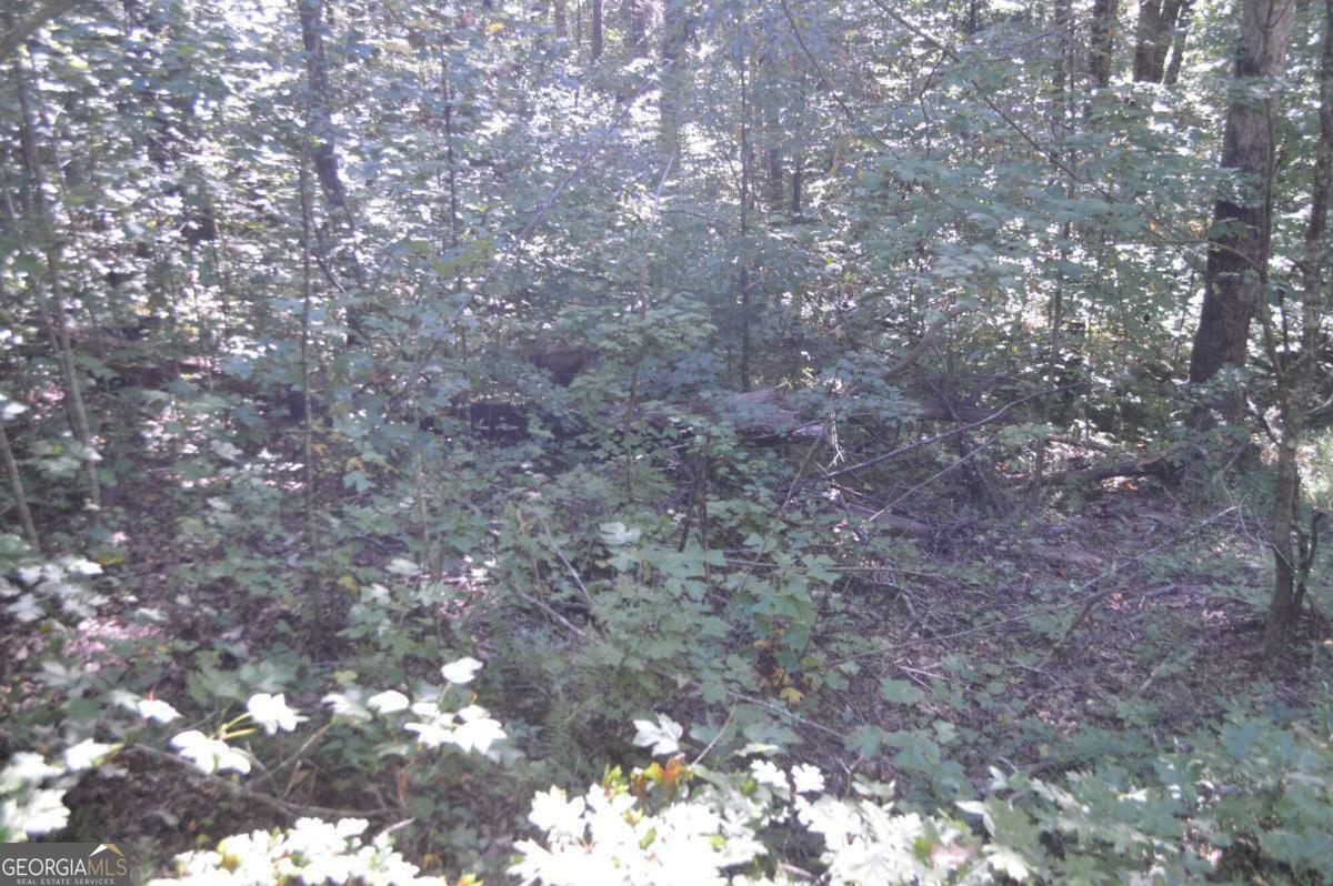 Property Photo:  Lot 5 Hemlock Ridge  GA 30525 