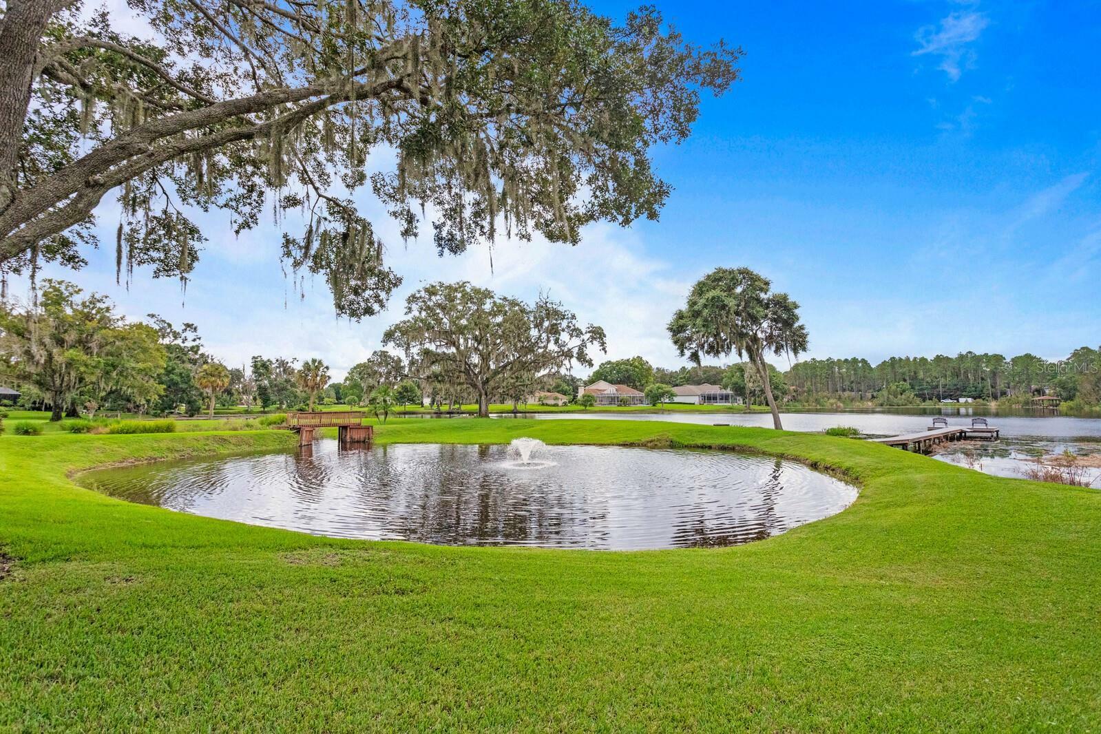 Property Photo:  1203 Oxbridge Drive  FL 33549 