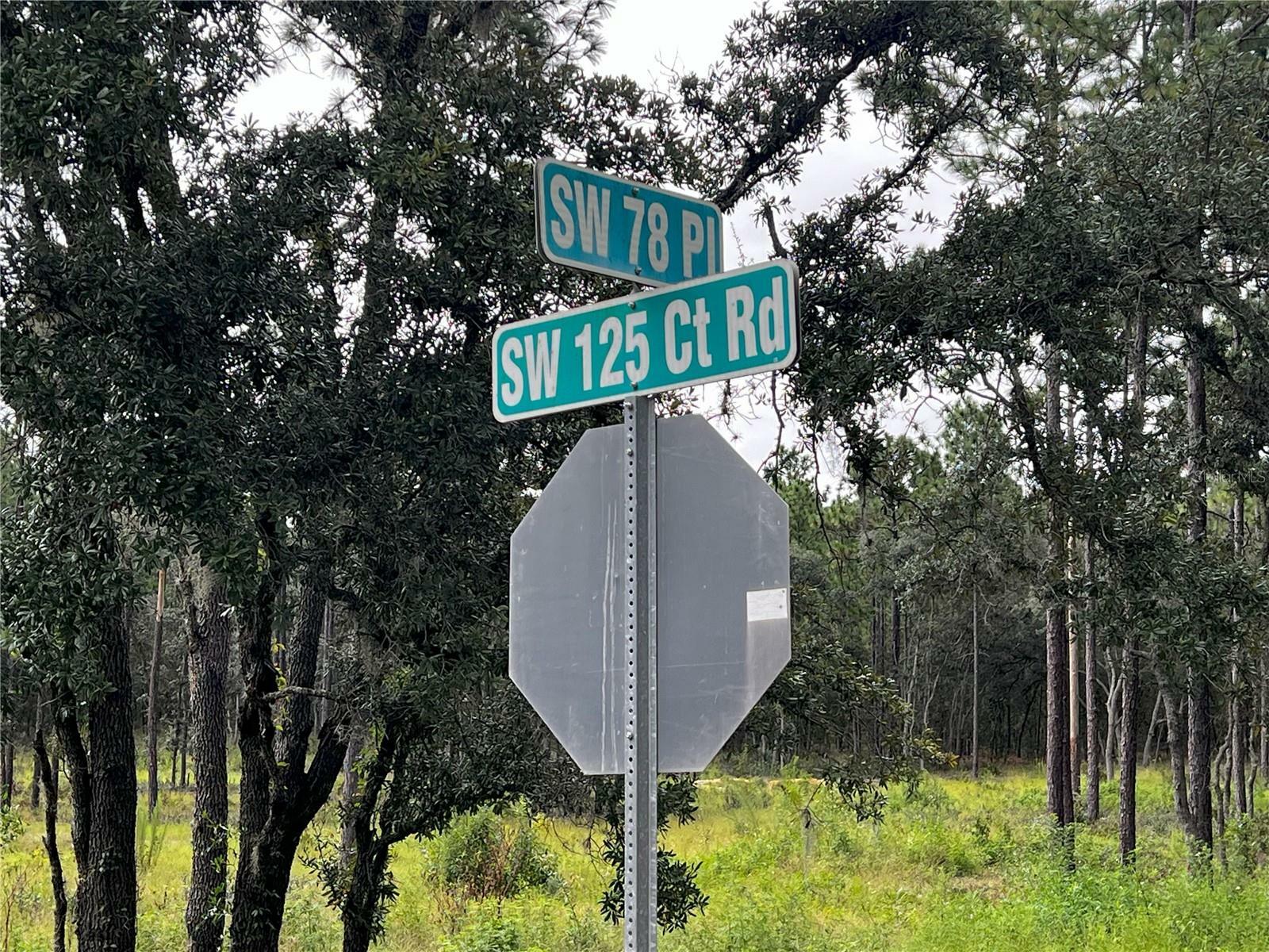 Property Photo:  Lot 13 SW 78th Place  FL 34432 