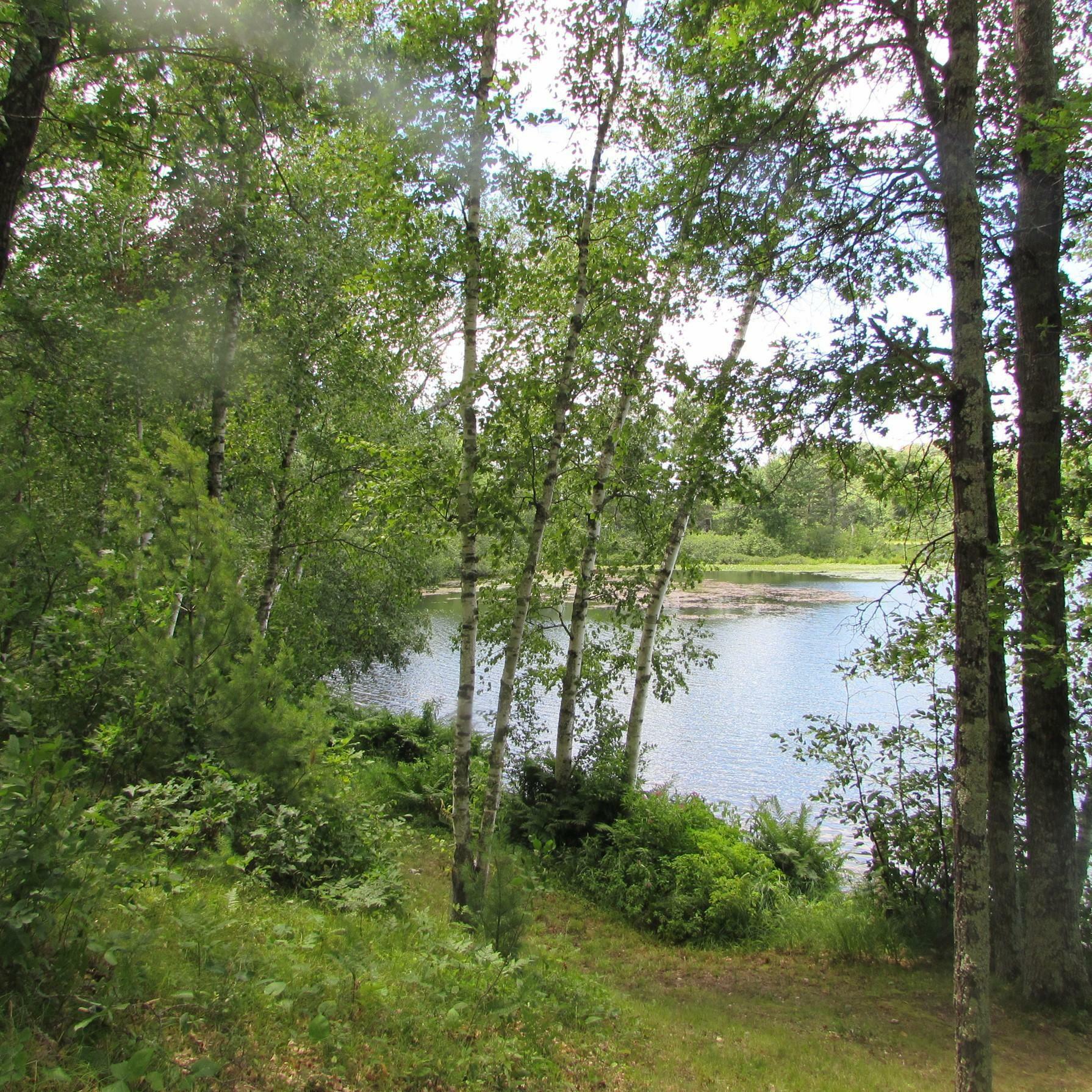 Property Photo:  30985 Tabor Lake Drive  WI 54830 