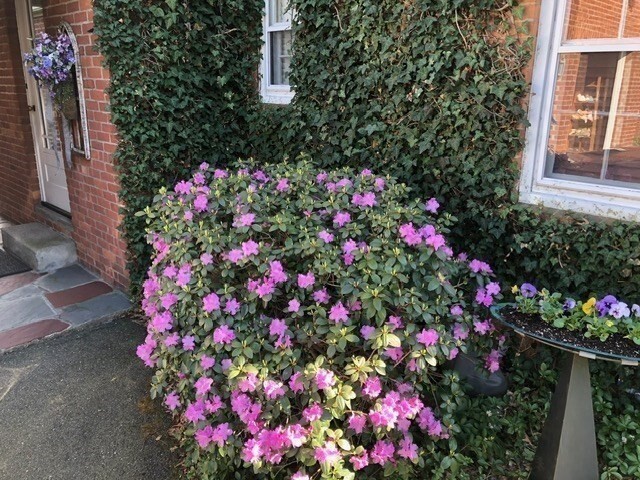 Property Photo:  1313 S Branch Pkwy  MA 01129 