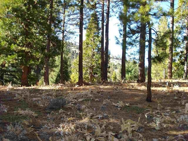 Property Photo:  369 Big Grizzly Road  CA 96122 