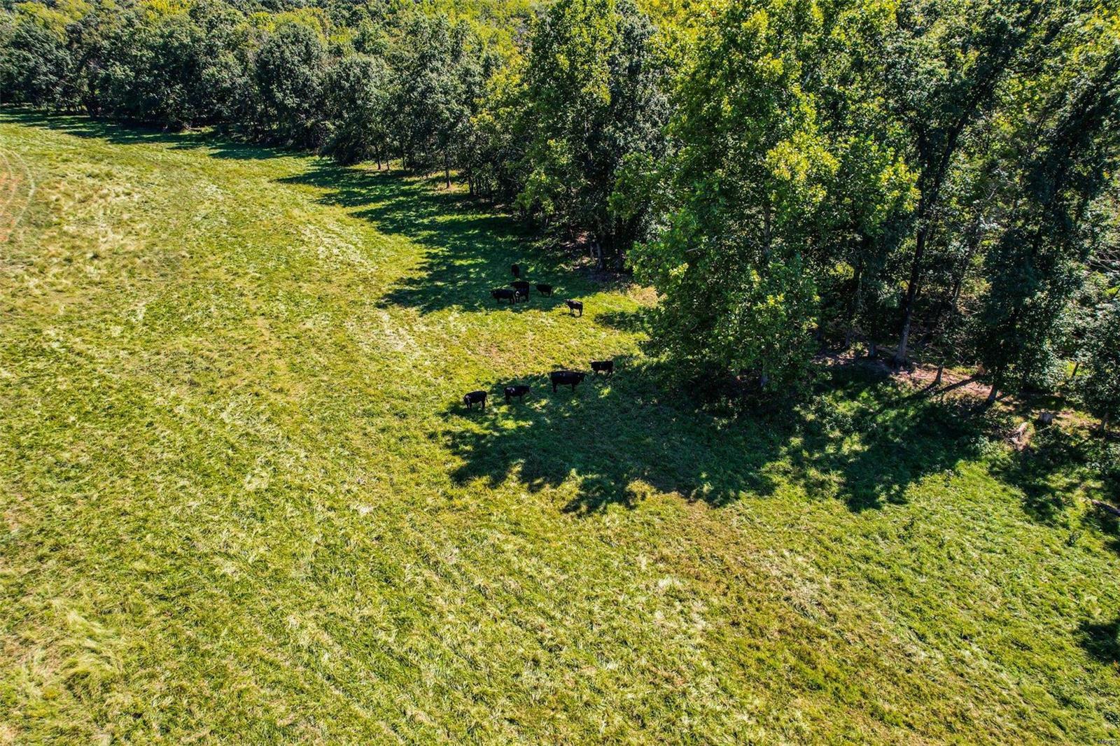 Property Photo:  0 148+/- Ac Horstman Road  MO 63068 