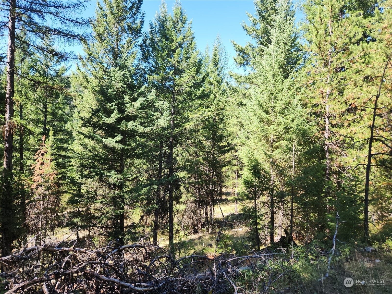 Property Photo:  0 Xxx Turner Lake Road  WA 98855 