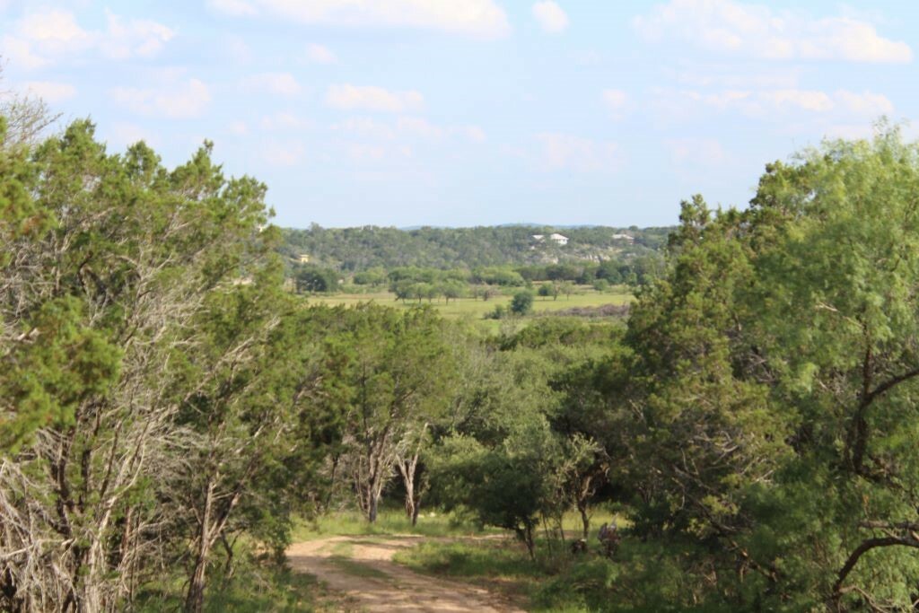 Property Photo:  Lot-29 Chimney Cove Drive  TX 78654 