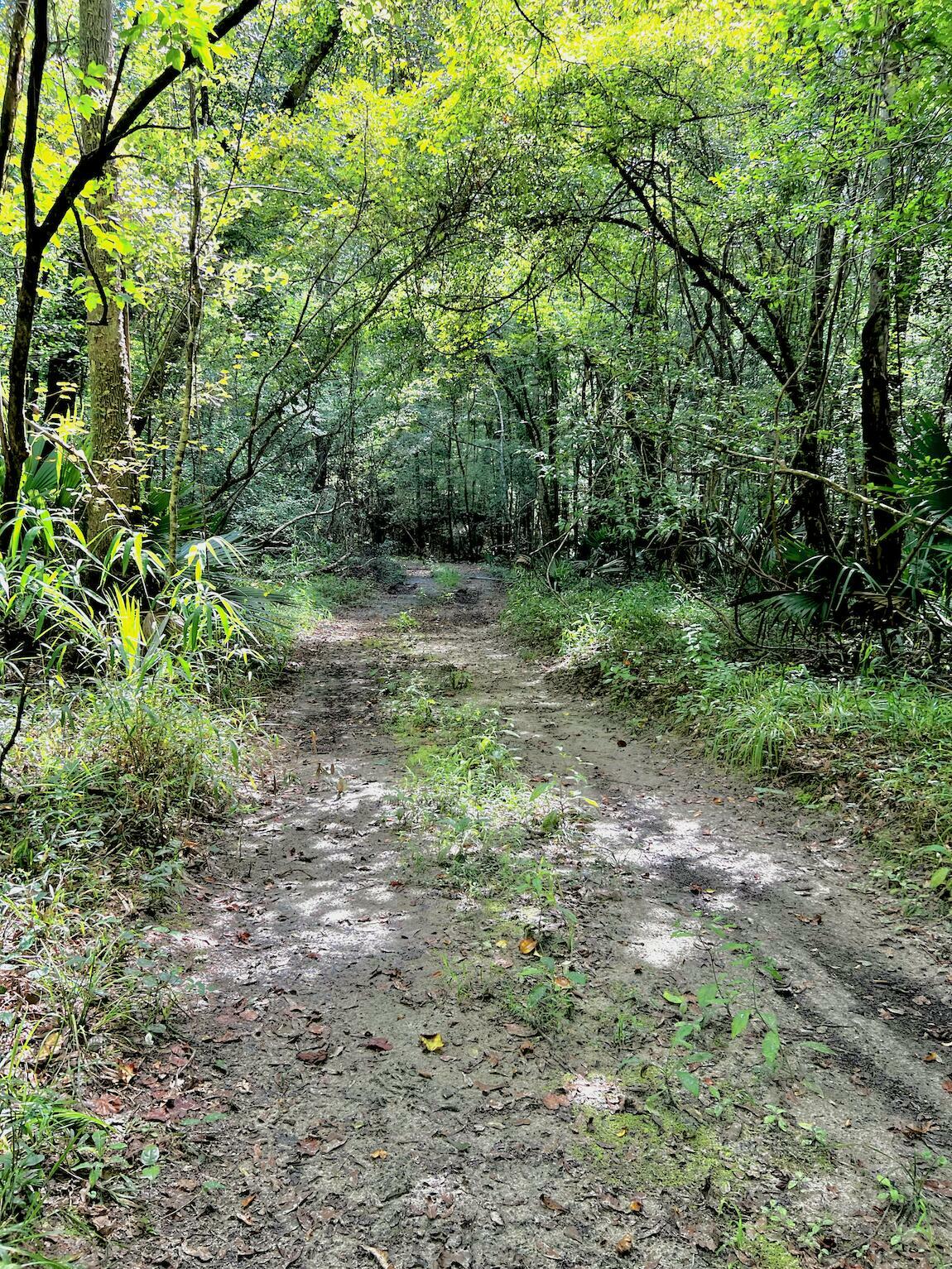 Property Photo:  Tbd River Loop Drive Lot 21  FL 32536 