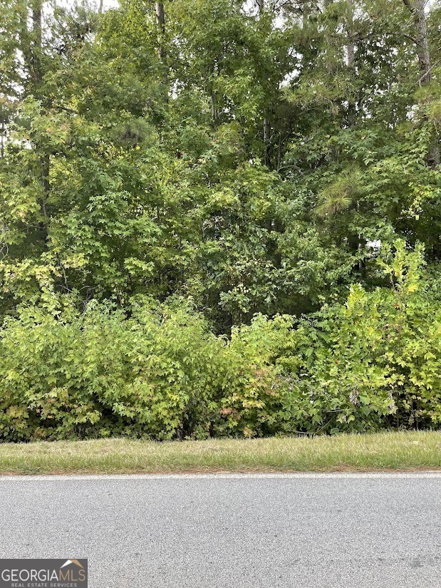 Property Photo: 0 Liberty Church Road GA 30110