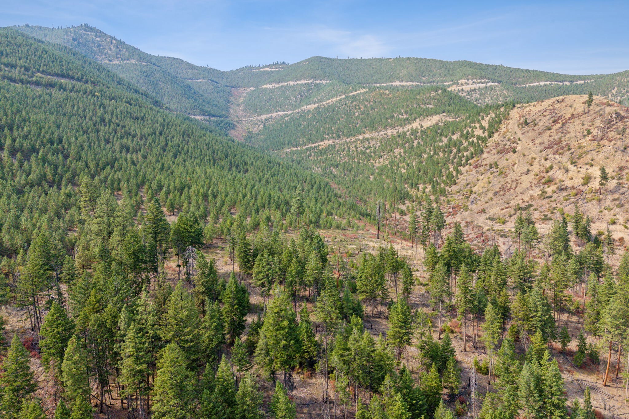 Property Photo:  13 S Fork Nemote Creek Road  MT 59820 