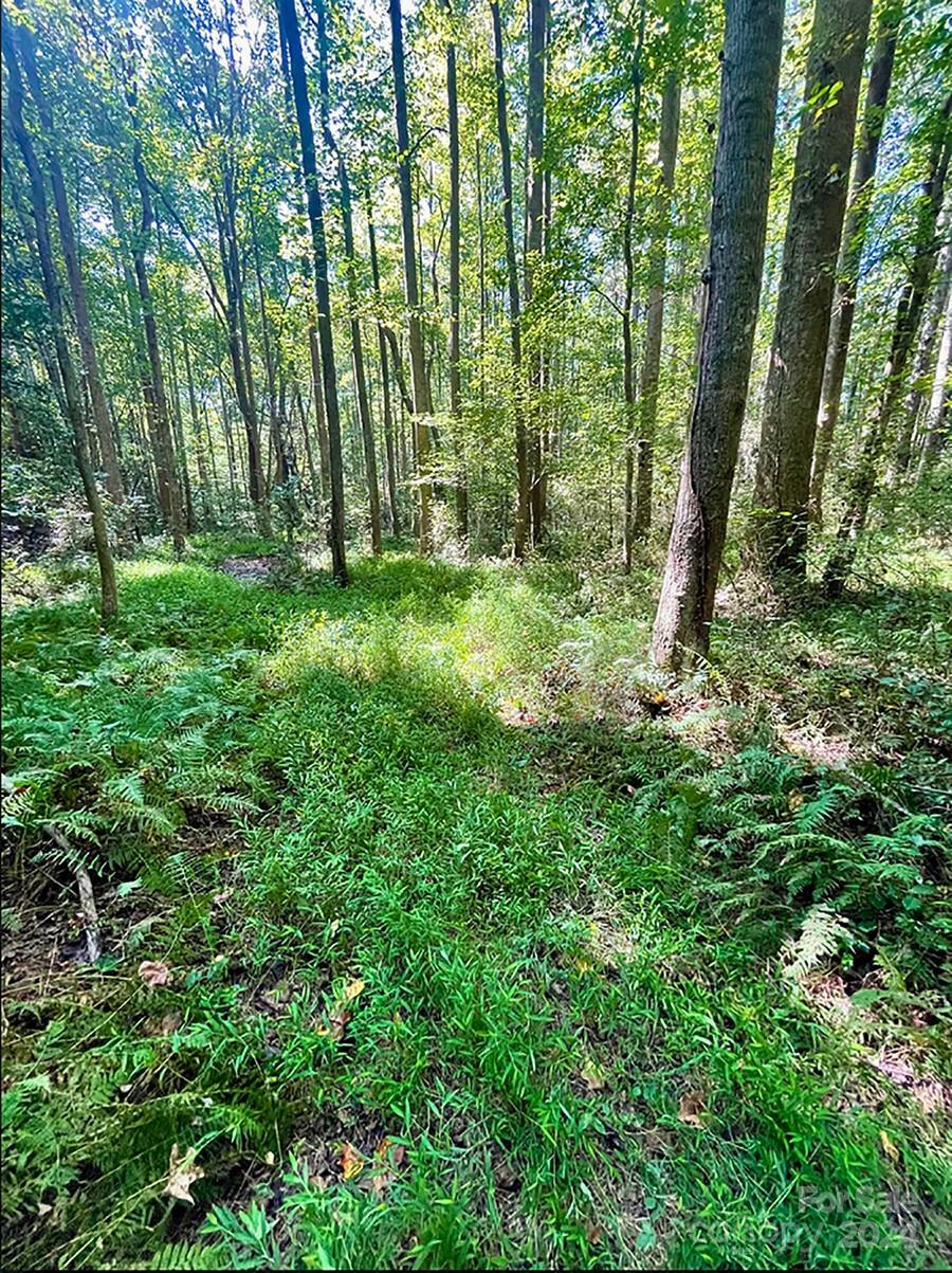 Property Photo:  Lot 19 Knottywood Lane Lot 19  NC 28168 