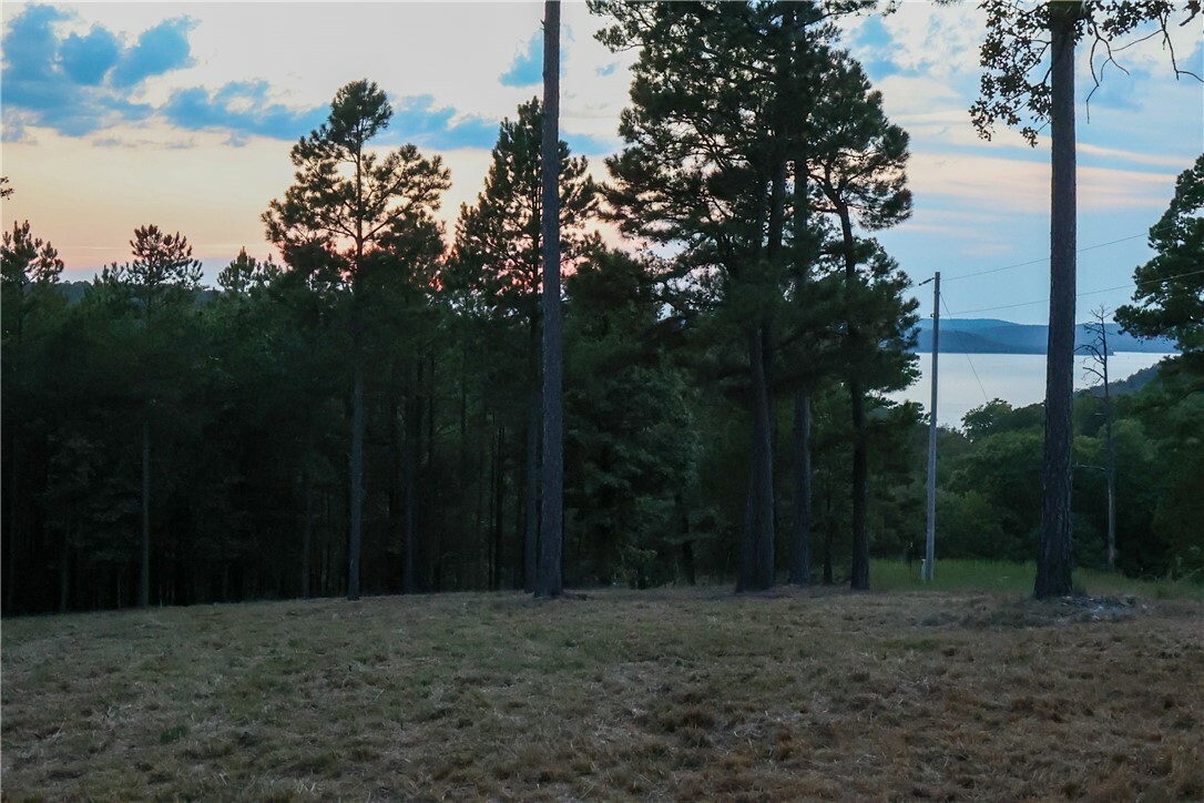 Property Photo:  1525 County Rd 1525  AR 72632 