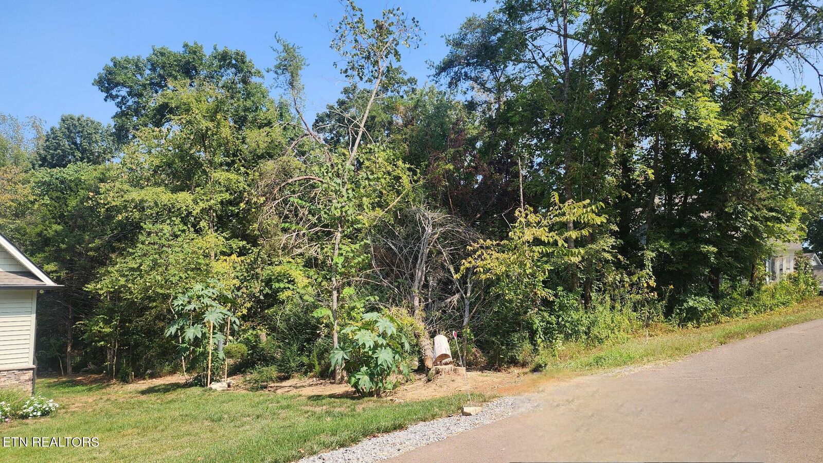 Property Photo:  130 Gadusi Circle  TN 37774 