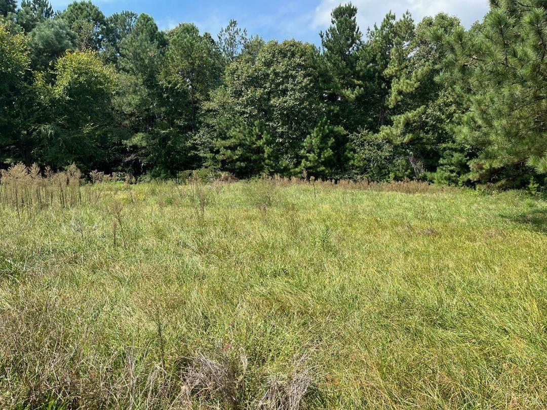 Property Photo:  3053 Clover Road  VA 24534 