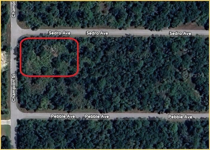 Property Photo: 13317 Sedro Avenue FL 33953
