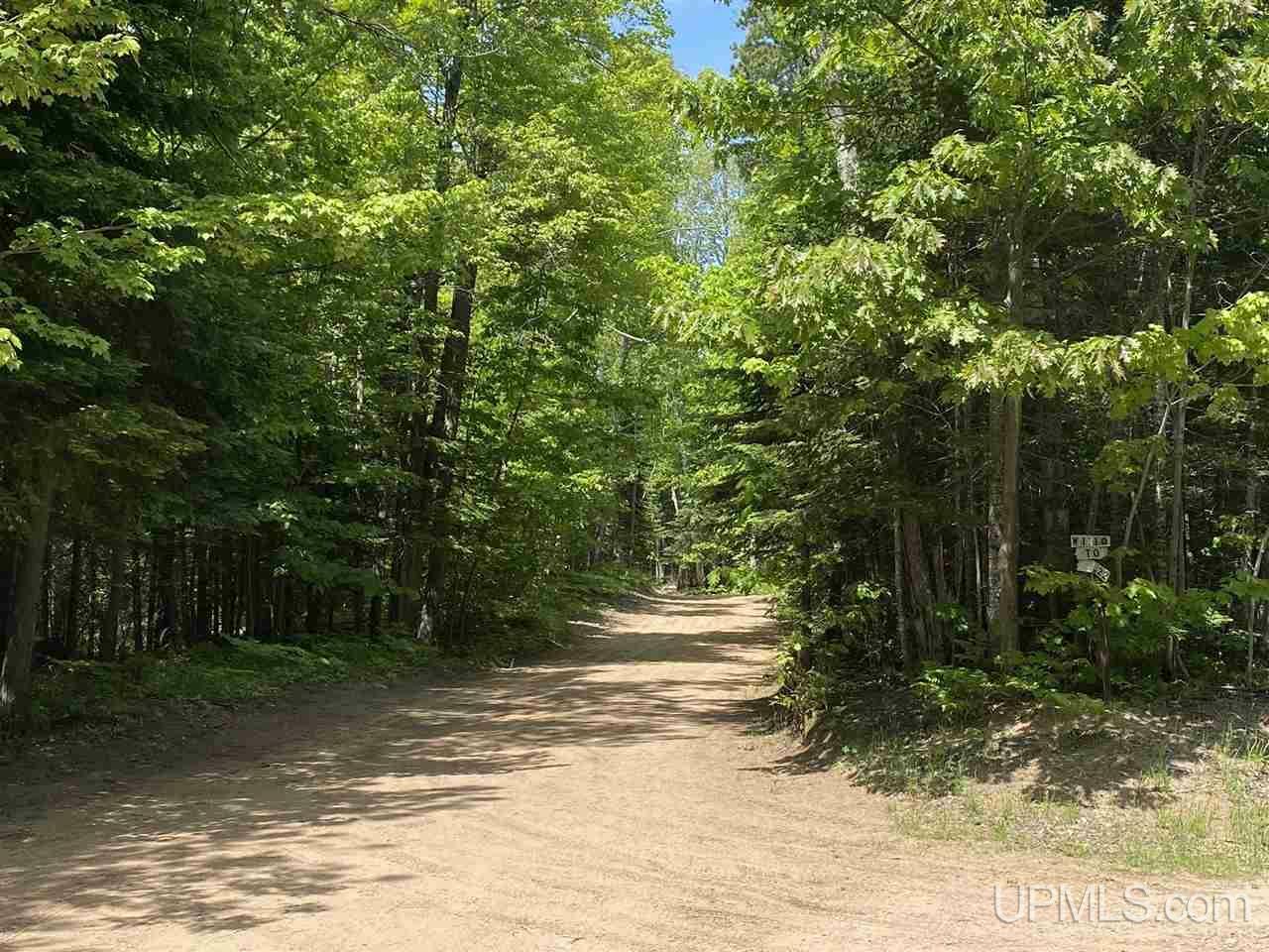 Property Photo:  923 E Stickney Road  MI 49814 