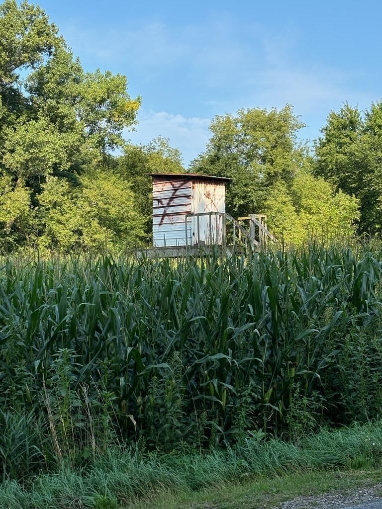 Property Photo:  6390 S Townhall Road  MI 48884 
