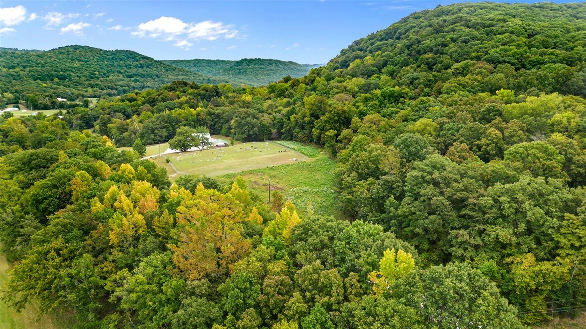 Property Photo:  11638 Hazel Valley Road  AR 72701 