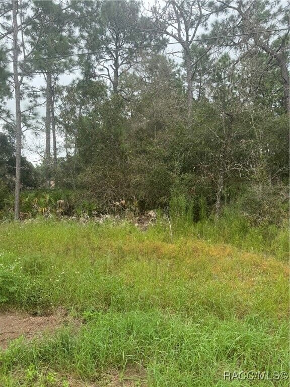 Property Photo:  5034 W Pinto Loop  FL 34465 