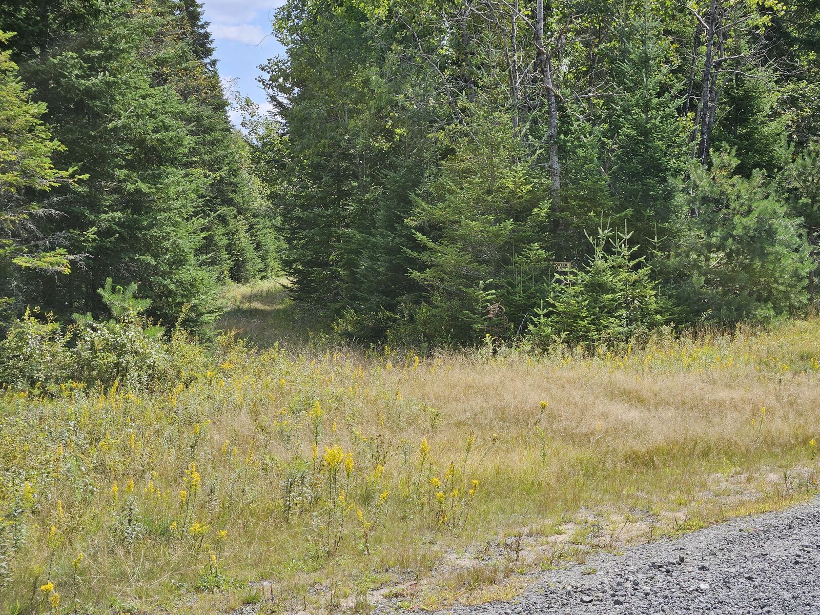 Property Photo:  Lot 17 Daigneau Trail  NY 12989 
