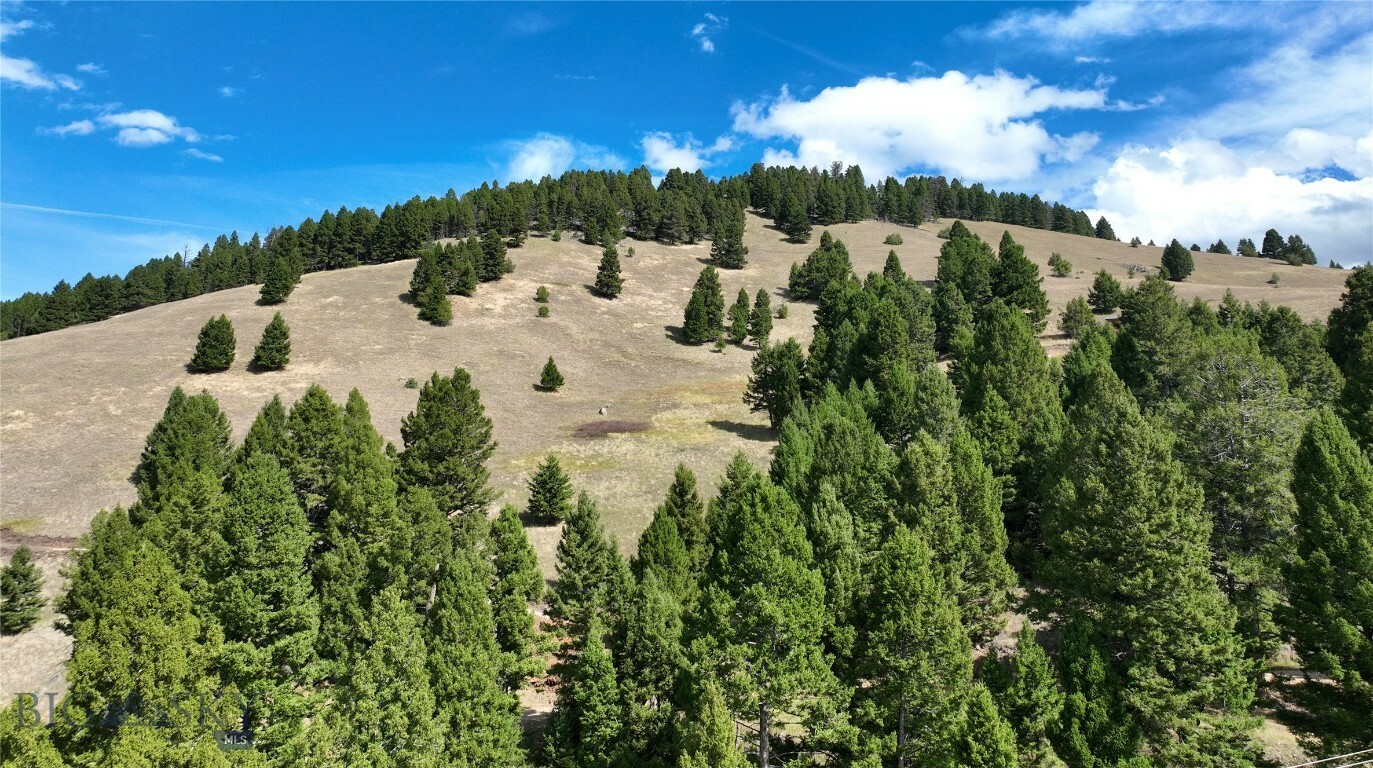 Property Photo: Tbd Scranton Lode Lot 5 Ms 3667 Road MT 59858