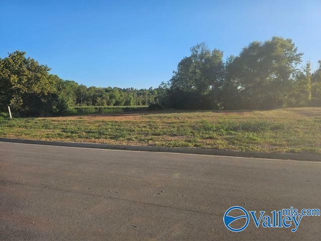 Property Photo:  Lot 9 Shadow Creek Drive  AL 35613 