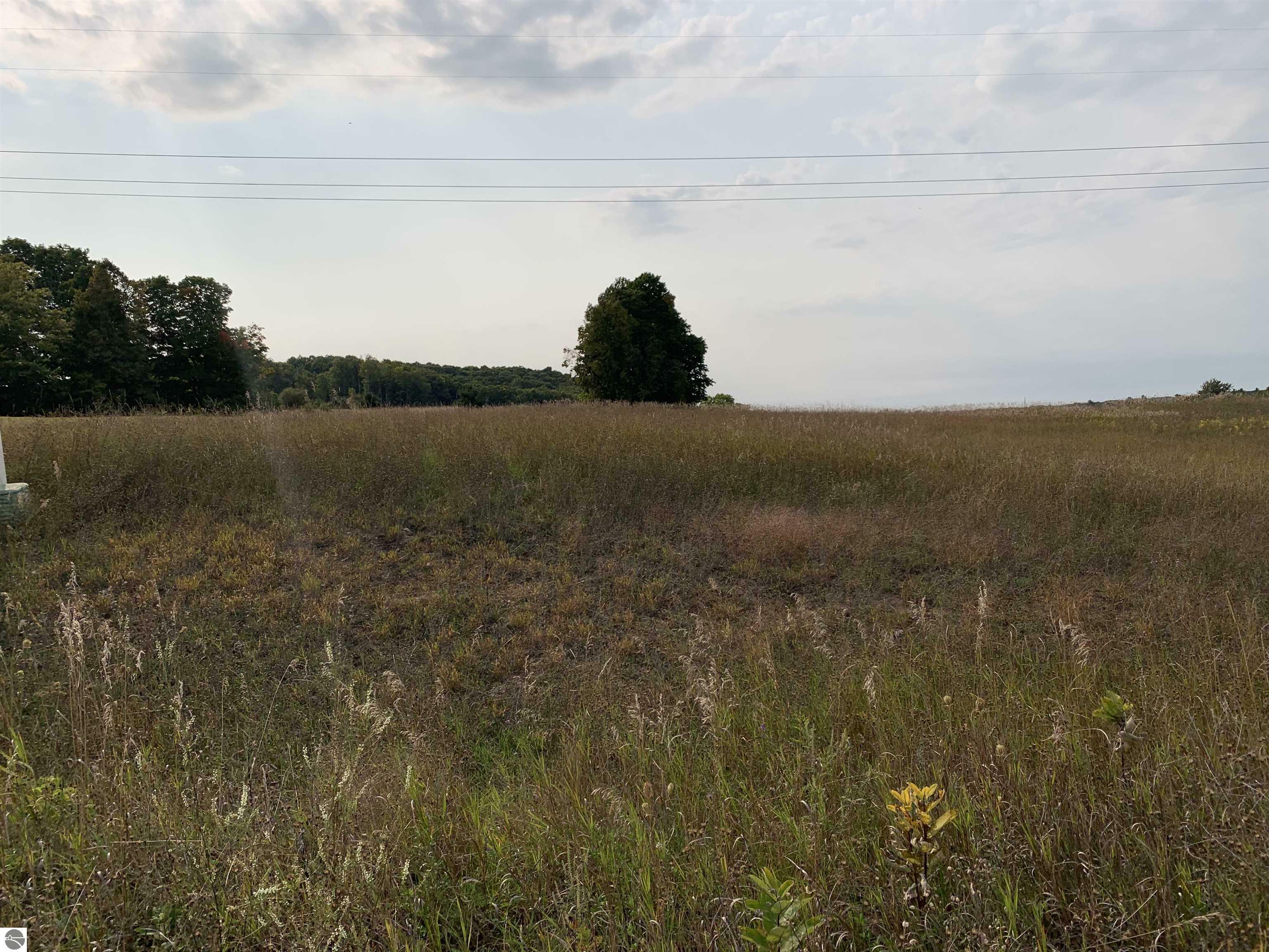 Property Photo:  Lot 43 &Amp 44 Edwin Road  MI 49637 