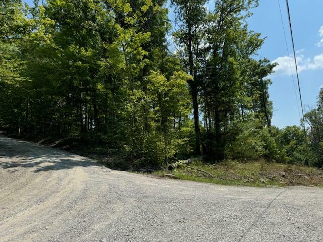 Property Photo:  Lots 1-4 Dixie Bend Road  KY 42519 