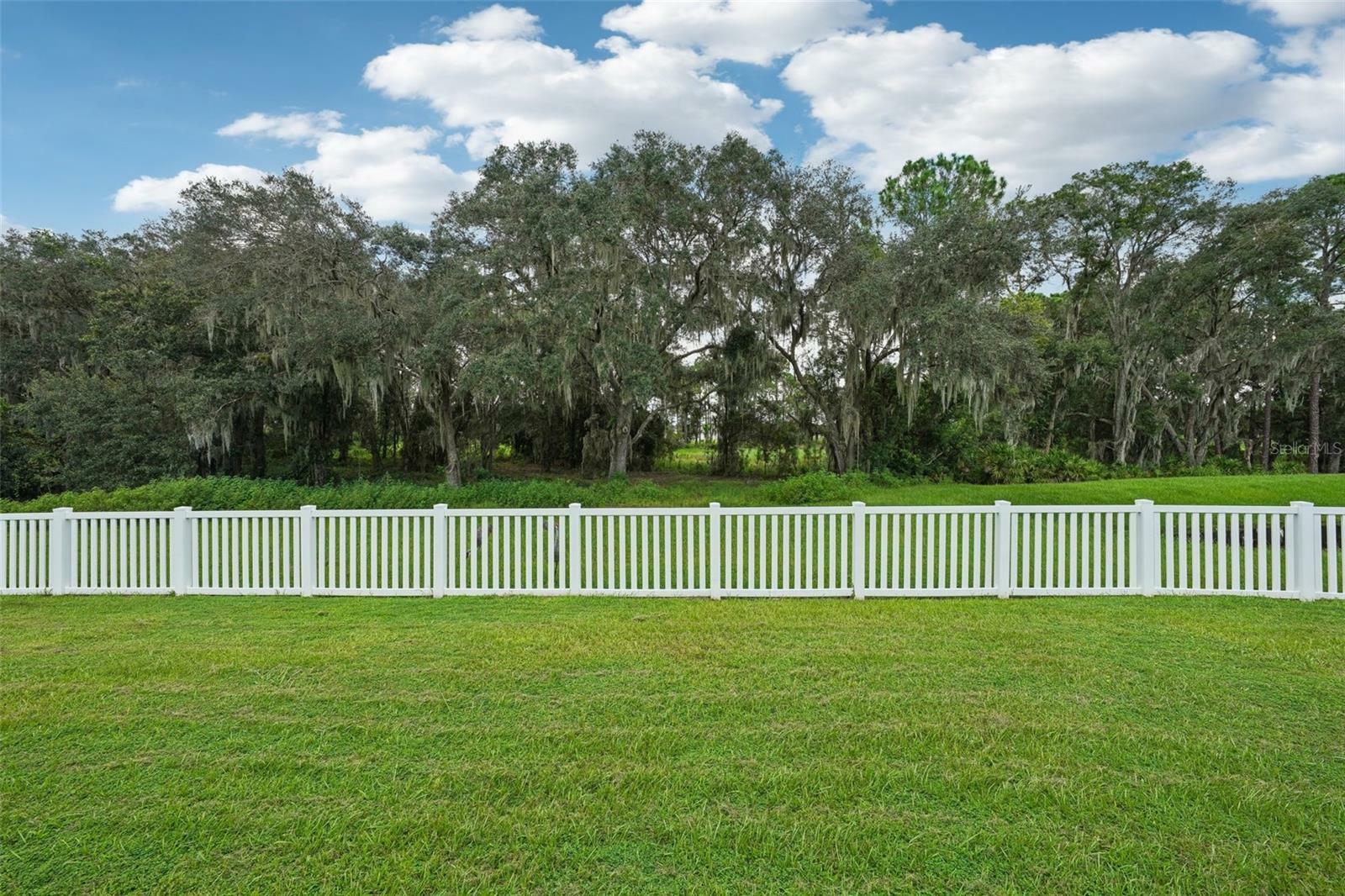 Property Photo:  35216 Crescent Creek Drive  FL 33541 