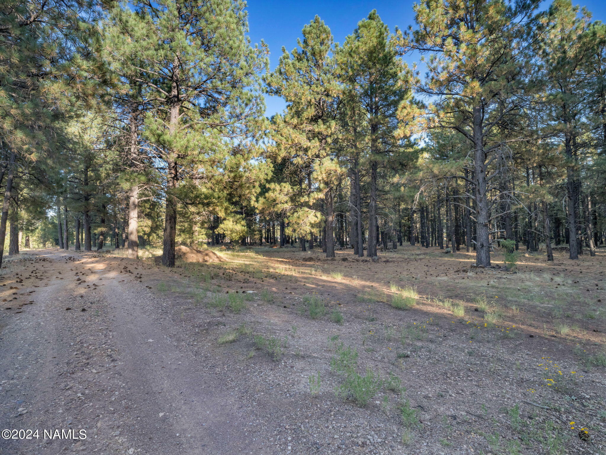 Property Photo:  13430 Ghost Train Trail  AZ 86018 