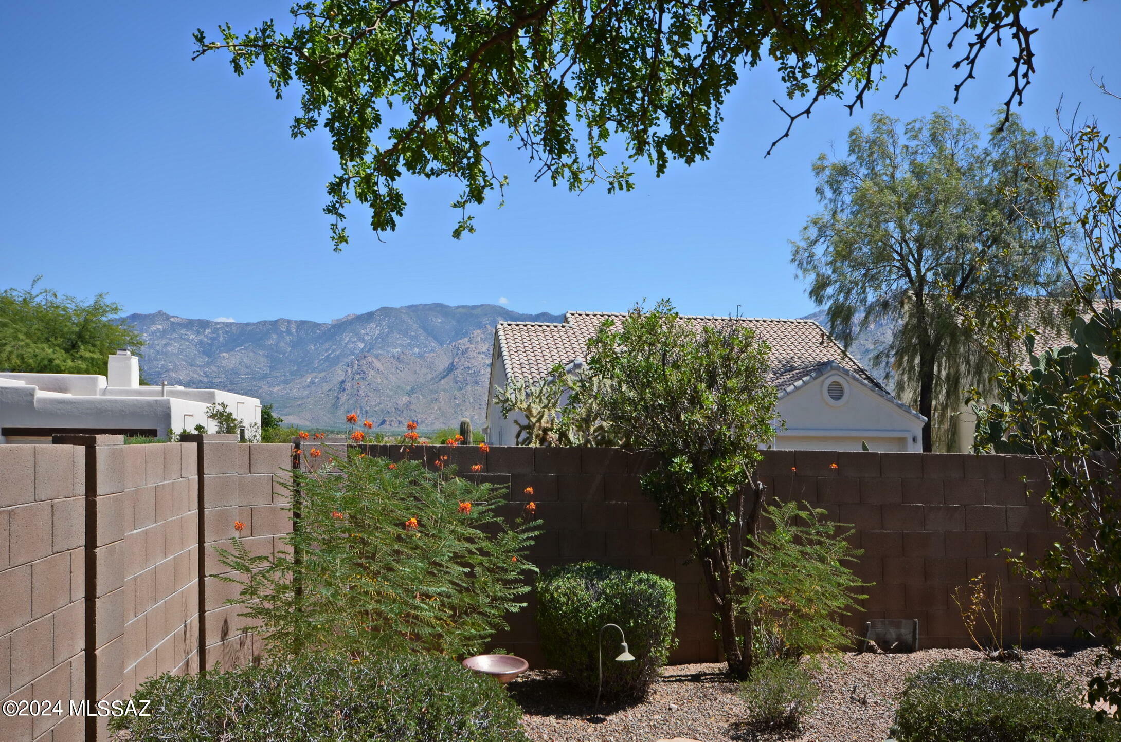 Property Photo:  1341 E Volans Place  AZ 85737 