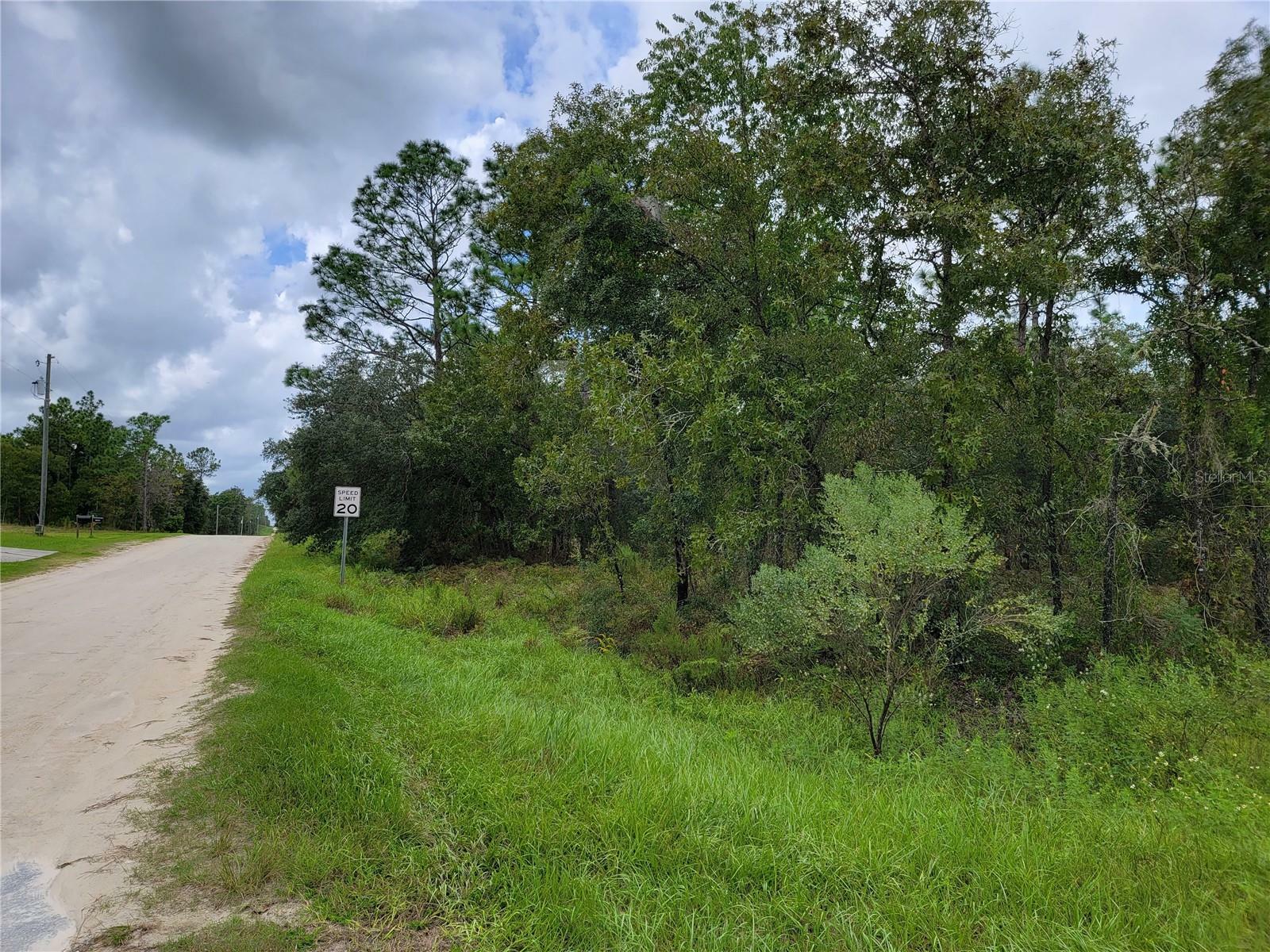 Property Photo:  Lot 2 SW 129th Terrace Road  FL 34432 