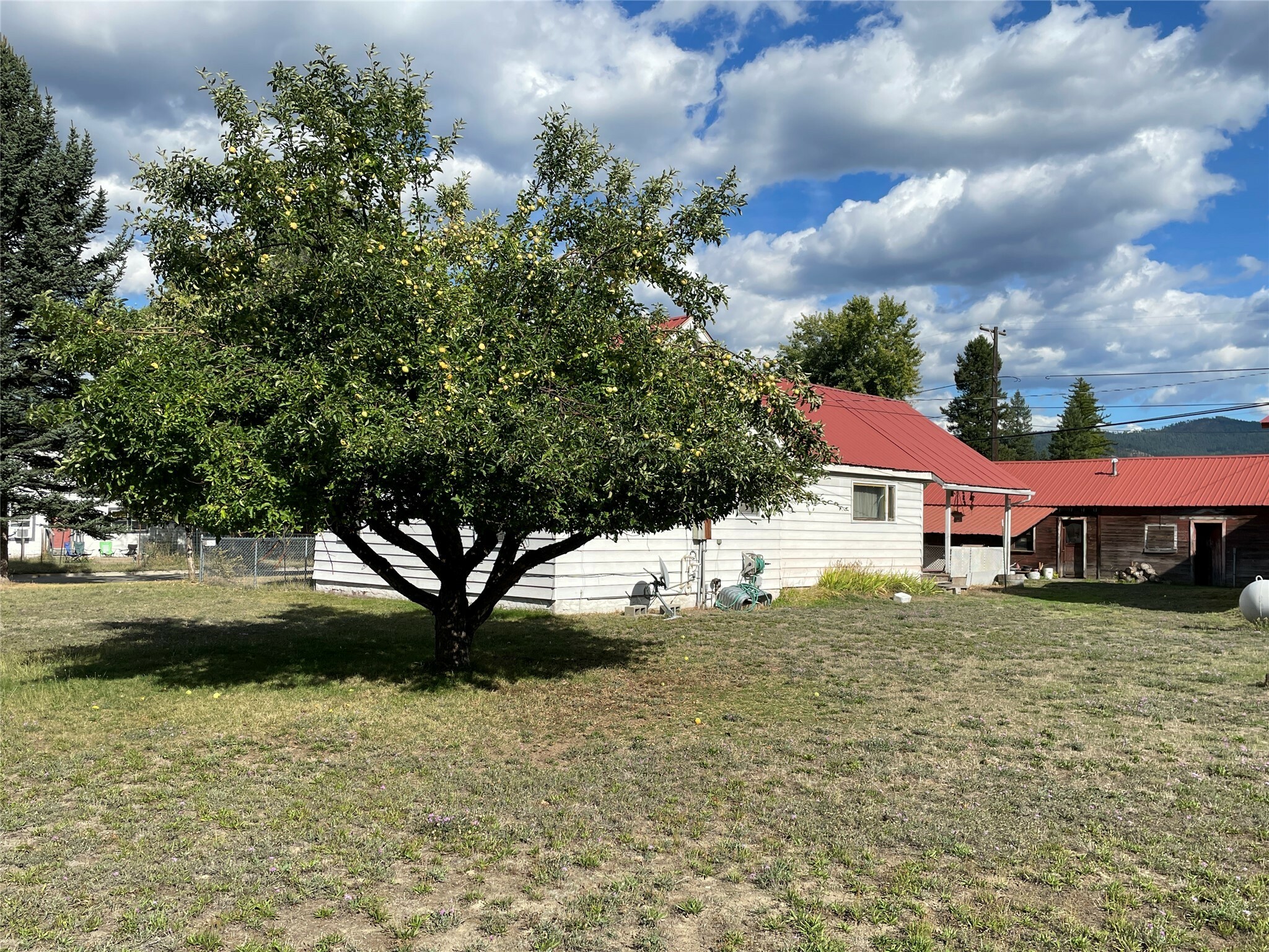 Property Photo:  223 W Oak Street  MT 59923 