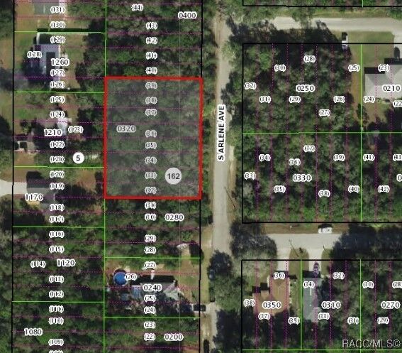 Property Photo:  152 S Arlene Avenue  FL 34453 