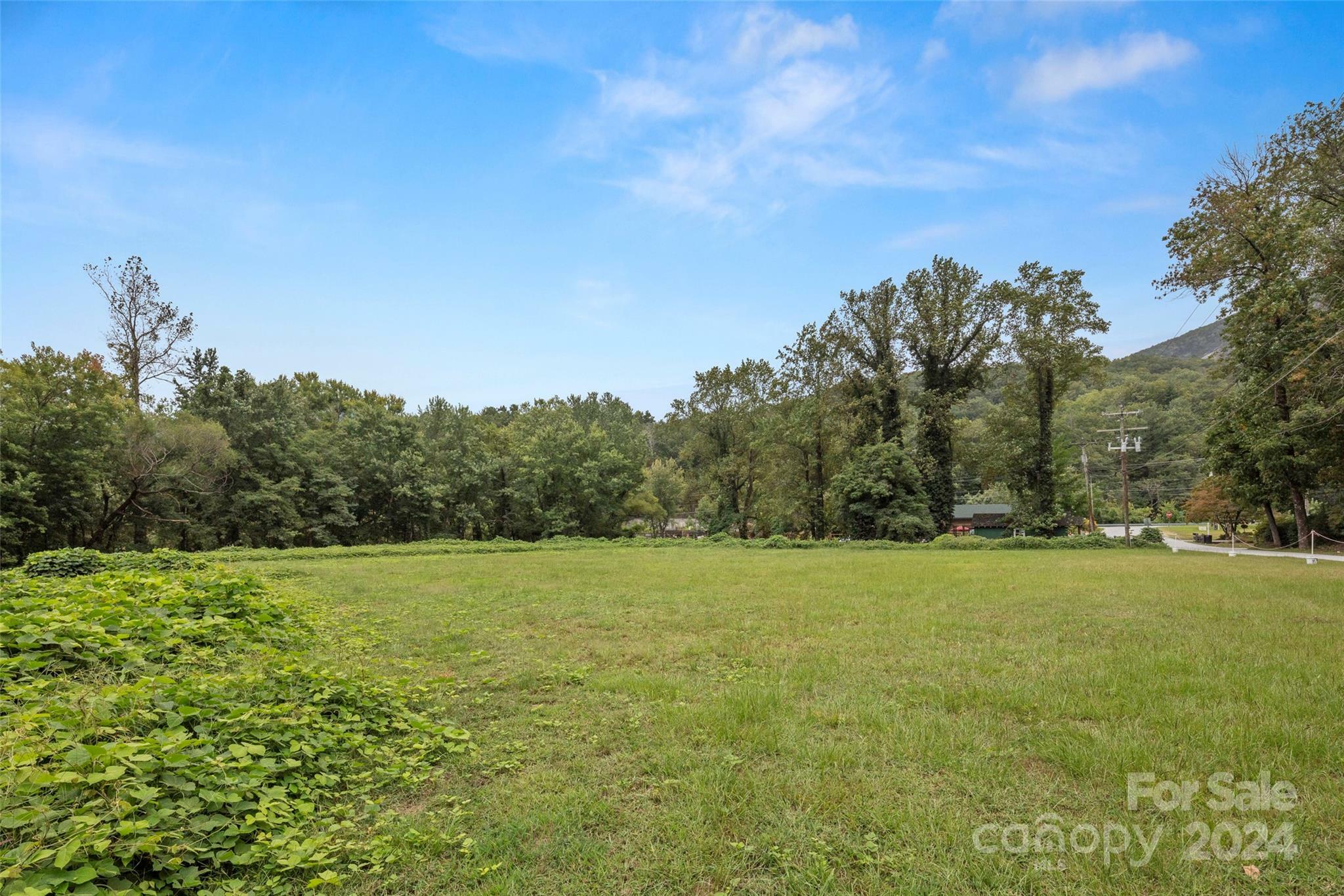 Property Photo:  Lot 2 Boys Camp Road 2  NC 28746 