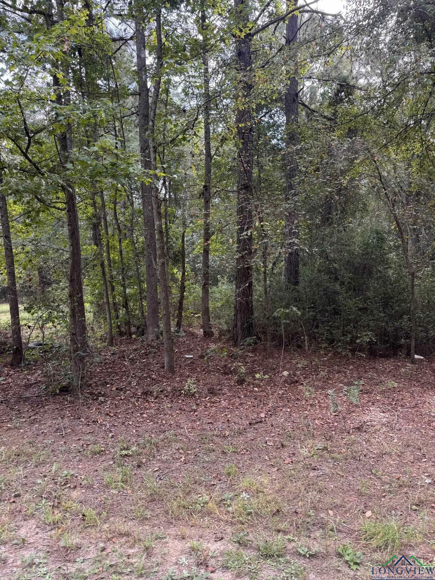 Property Photo:  Tbd 6 Acres 23349 Fm 838  TX 75684 